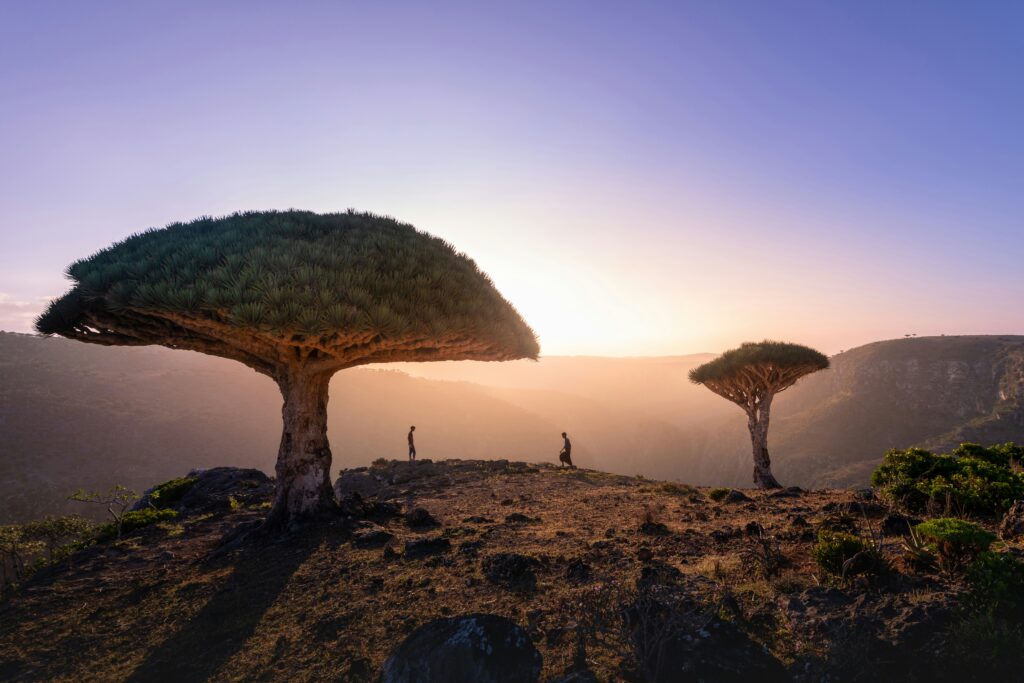 Abgelegene Wüstenlandschaft bei Sonnenaufgang